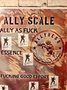 The Ally Scale Training Aid